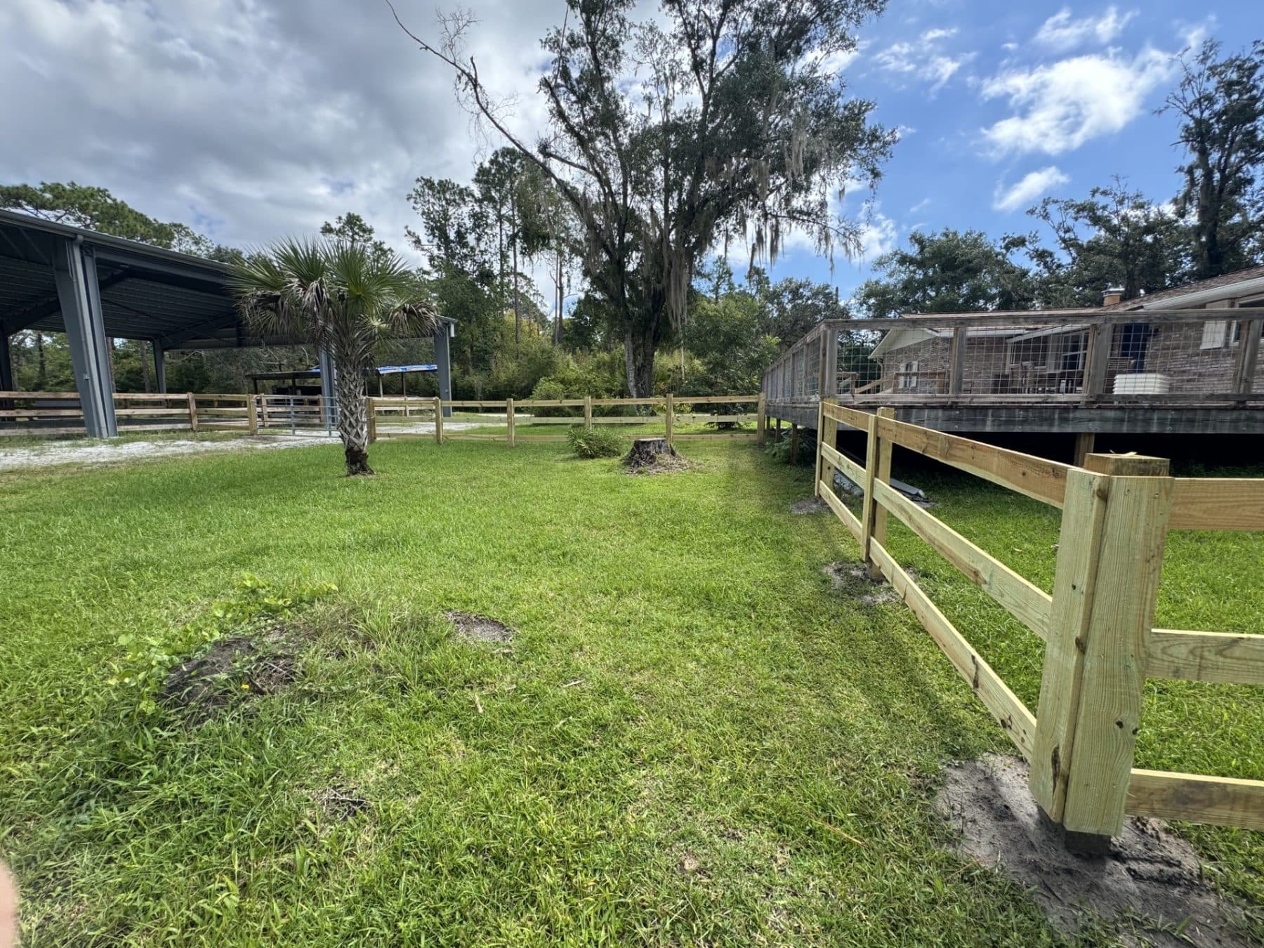 3 Board Horse Fencing, detail 2