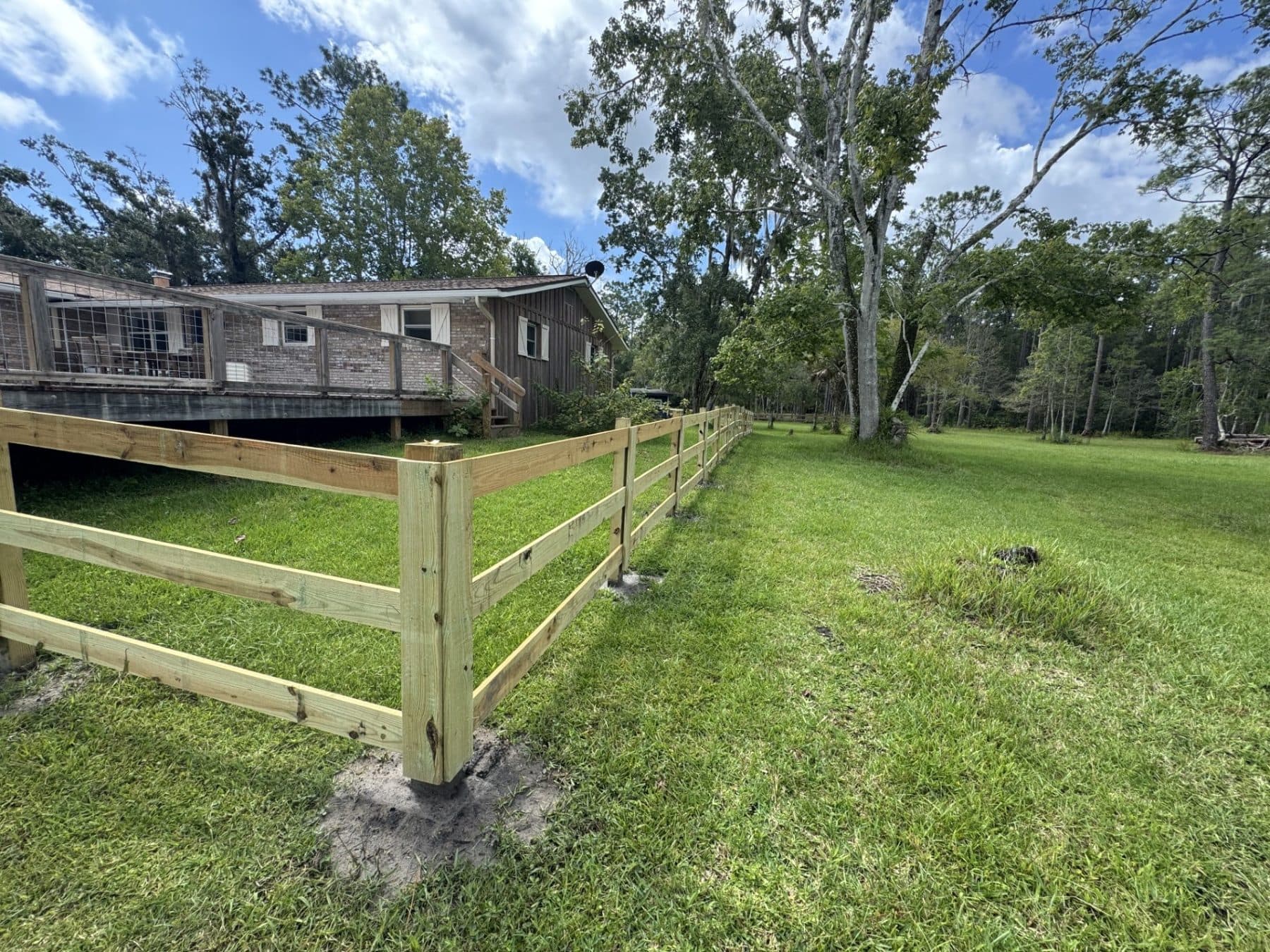 3 Board Horse Fencing, detail 3