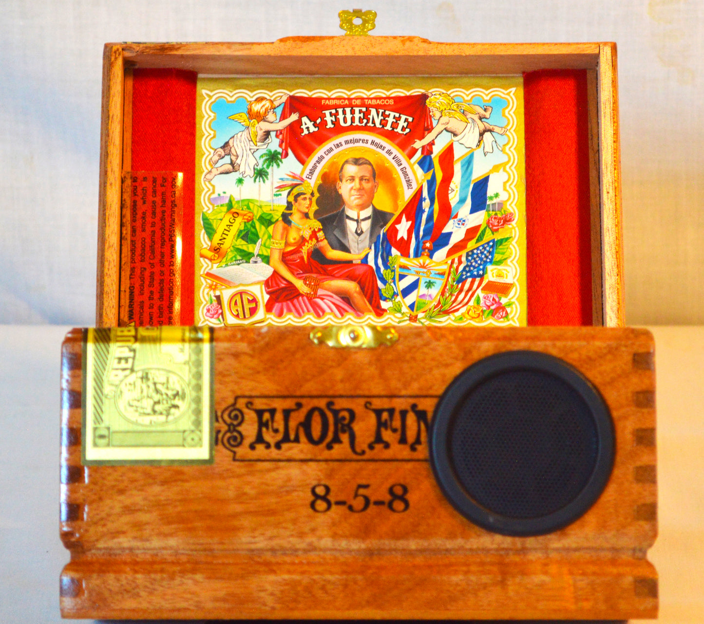 Cigar Box Speaker